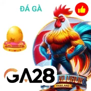 vn6 Game 11